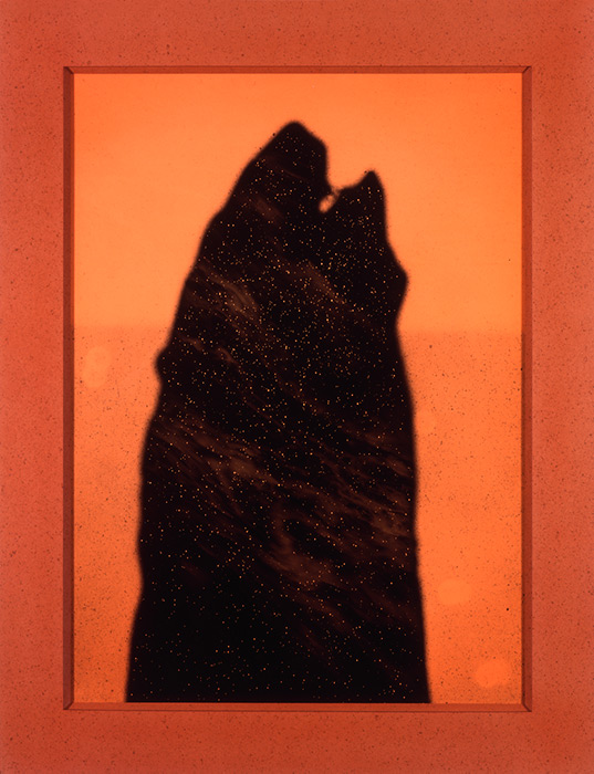 The Bear #0731, 1994, photograph by Todd Watts